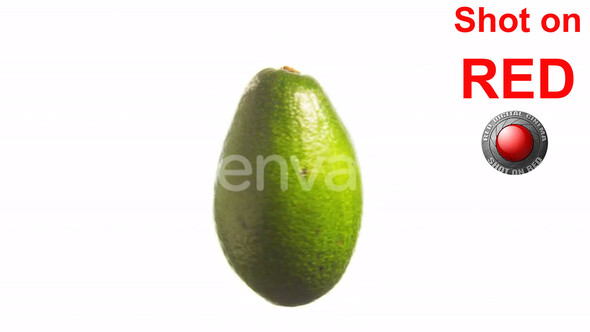 Avocado fruits