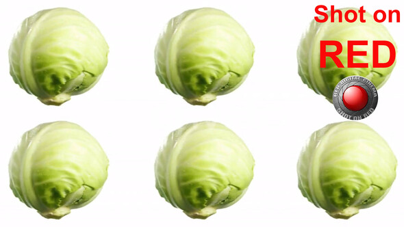 Vegetables Cabbage