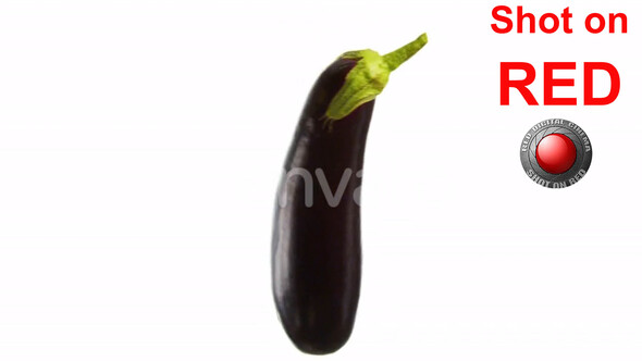 Eggplant Vegetable