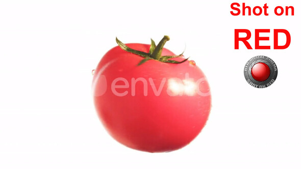 Tomato vegetables