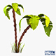 Palm tree v 3 - 3DOcean Item for Sale