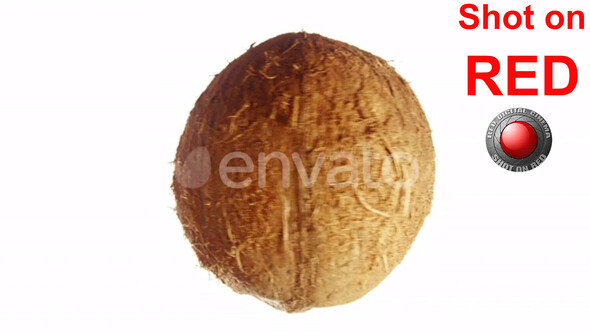 Coconut