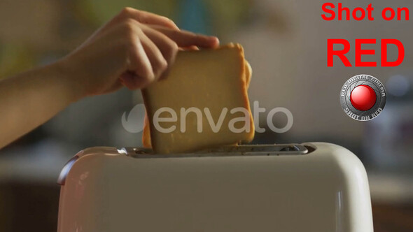 Toast Bread and Toaster for Breakfast