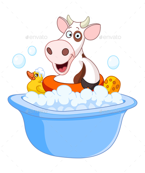 Cow Taking a Bath