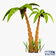 Palm tree v 5 - 3DOcean Item for Sale