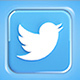 Twitter Pack - VideoHive Item for Sale