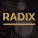 Radix -  Portfolio and Resume Template - ThemeForest Item for Sale