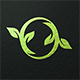Organic Logo O Letter and Leaves