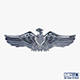 Eagle Insignia Chrome - 3DOcean Item for Sale