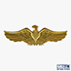 Eagle Insignia Gold - 3DOcean Item for Sale