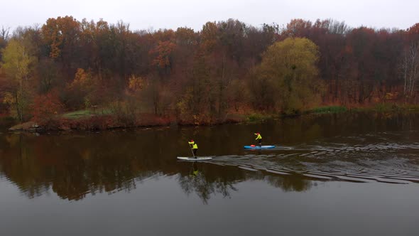 Drone Shot of Man and Woman on Sup Paddle Boards at Wide River on Golden Autumn Forest Background