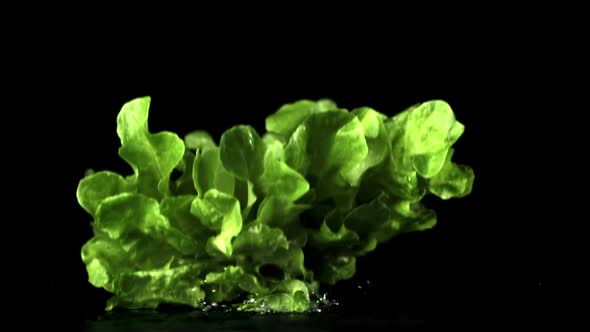 Super Slow Motion Fresh Lettuce Leaves Fall on the Table