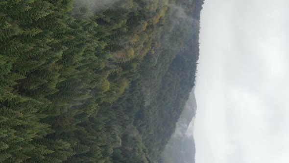 Vertical Video Carpathian Mountains