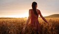 Carefree woman strolling in the wheat field - PhotoDune Item for Sale