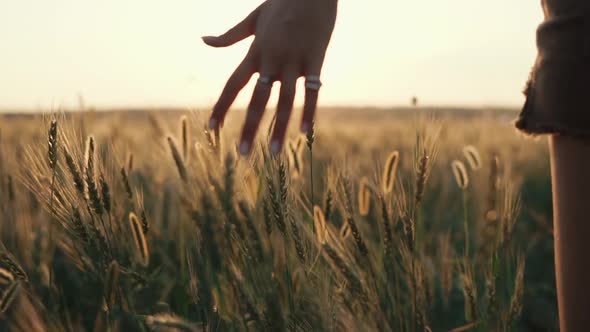 Carefree Woman in Field.