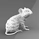 Mouse - 3DOcean Item for Sale