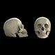 skull - 3DOcean Item for Sale
