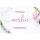 Merlin Script - GraphicRiver Item for Sale