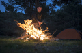 Man lights a fire in the fireplace in nature - PhotoDune Item for Sale