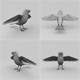 Bird - 3DOcean Item for Sale