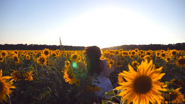 Young Girl Running Along Sunflowers Field Under Blue Sky at Sunset. Sun Shine at Background. Follow