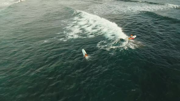 Surfers on the Water Surface