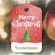Christmas Watercolored Slideshow - VideoHive Item for Sale