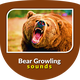 Angry Bear Growling Sounds
