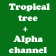  Tropical palm trees(alpha channel) - 3DOcean Item for Sale