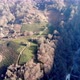 Drone Shot of Top View on Green Tea Plantation in Winter - VideoHive Item for Sale