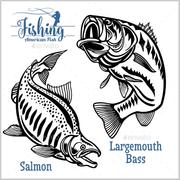 Largemouth Bass and Salmon Fishing