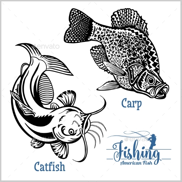 Catfish and Carp Fishing