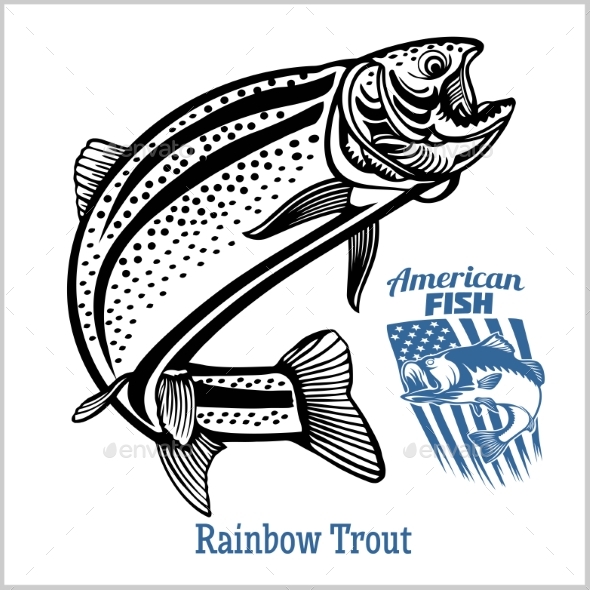 Rainbow Trout Fishing