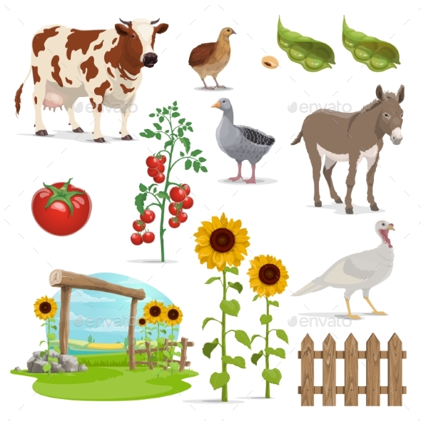 Farm Field Animals and Vegetables Agriculture