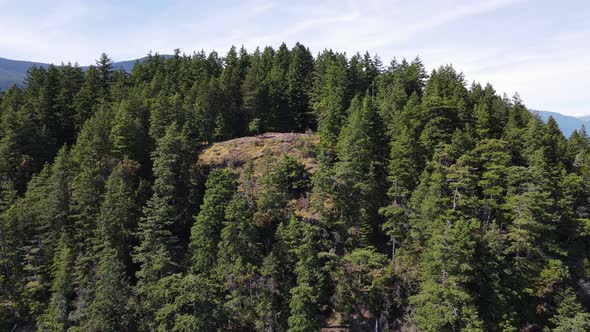 Tree lined peak of Soames Hill in the beautiful area of Gibsons in Canada. Wide angle aerial pull ba