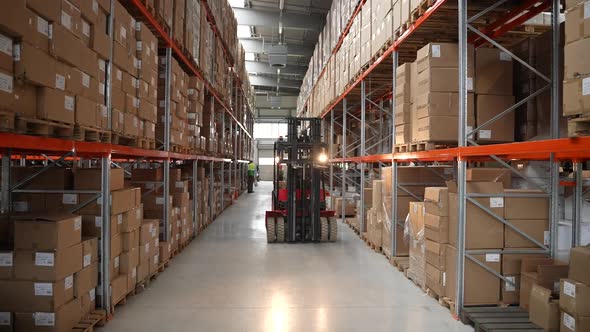 Storehouse Employee Operating Forklift Truck