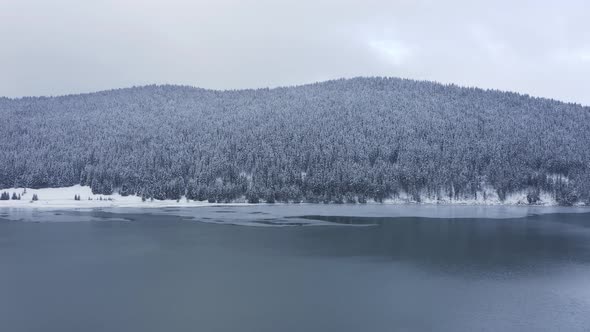 White snowy pine mountain forest by the lake in winter - aerial