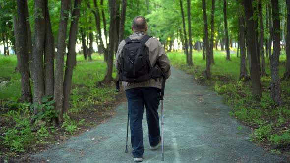 An Elderly Man is Engaged in Nordic Walking in the Forest