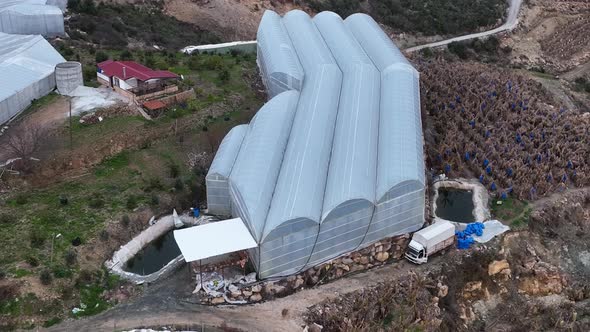 Banana greenhouse aerial view 4 K Alanya Turkey