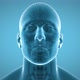 X-ray human head - VideoHive Item for Sale