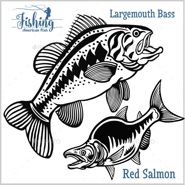 Largemouth Bass and Red Salmon