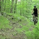 Male cyclist riding through forest - VideoHive Item for Sale