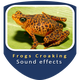 Frogs Croaking Sounds