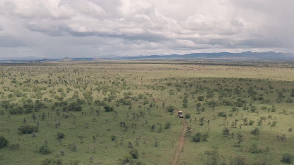 Wildlife vacation, driving through a game reserve in Laikipia, Kenya, Aerial drone view of African 