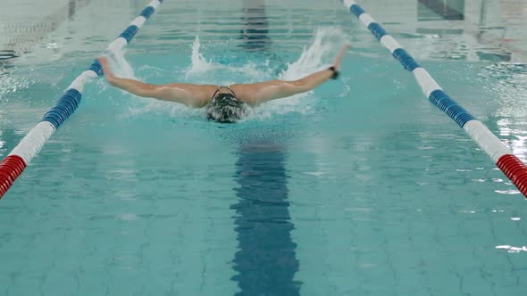 Young Professional Female Swimmer Swims in the Pool Woman Swimming and Training in Water Butterfly