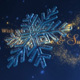 Christmas Snowflake Intro - VideoHive Item for Sale
