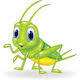 Loud Crickets