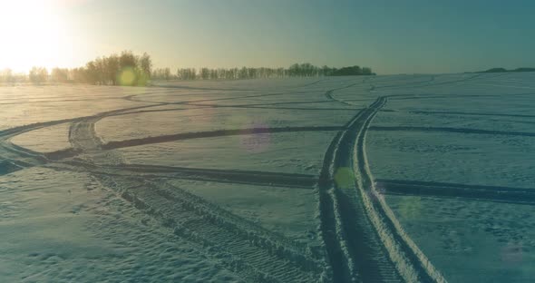 Aerial Drone View of Cold Winter Landscape with Arctic Field Trees Covered with Frost Snow and