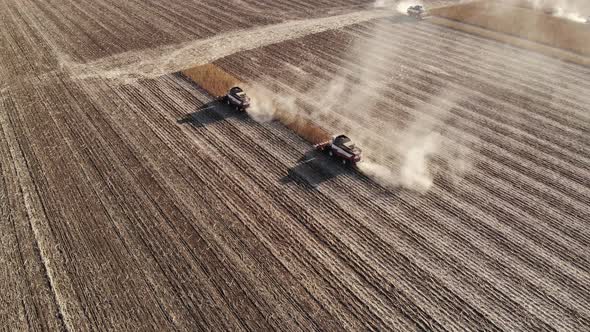 Aerial View Several Harvesters Field Sunflowers