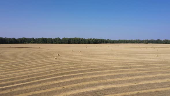 Aerial Footage of an Extensive Harvested Grain Field